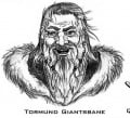 Tormund Giantsbane2.jpg