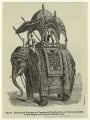 Embroidered housings and trappings of the elephan.jpg