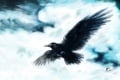 Alistair D Borthwick Black Raven.jpg