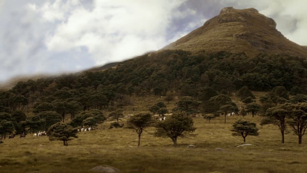 Mother of Mountains - A Wiki of Ice and Fire