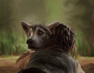 Nymeria Direwolf A Wiki Of Ice And Fire