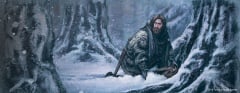 Category:Images Of Benjen Stark - A Wiki Of Ice And Fire