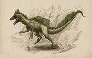 Category:Images of Animals - A Wiki of Ice and Fire