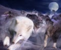 Thaldir Wolves of the North.jpg