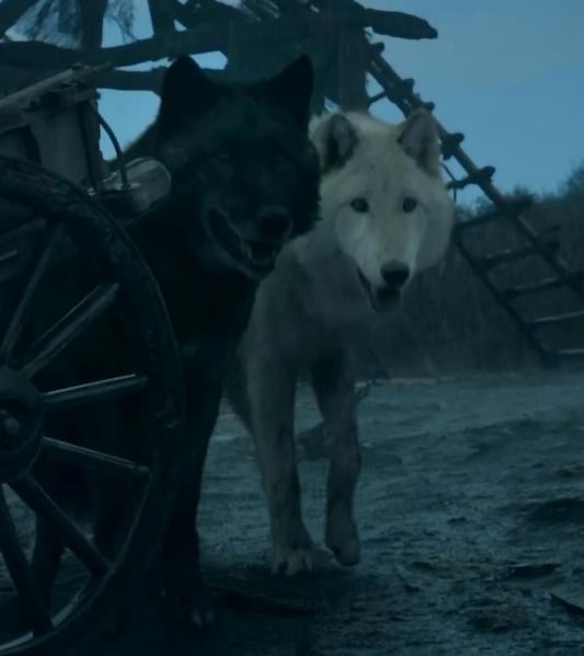 [2012] Game Of Thrones Season 2 - Cuộc Chiến Ngai Vàng Mùa 2 [Hoàn Thành] 533px-Shaggydog_%26_Summer_TV_Series