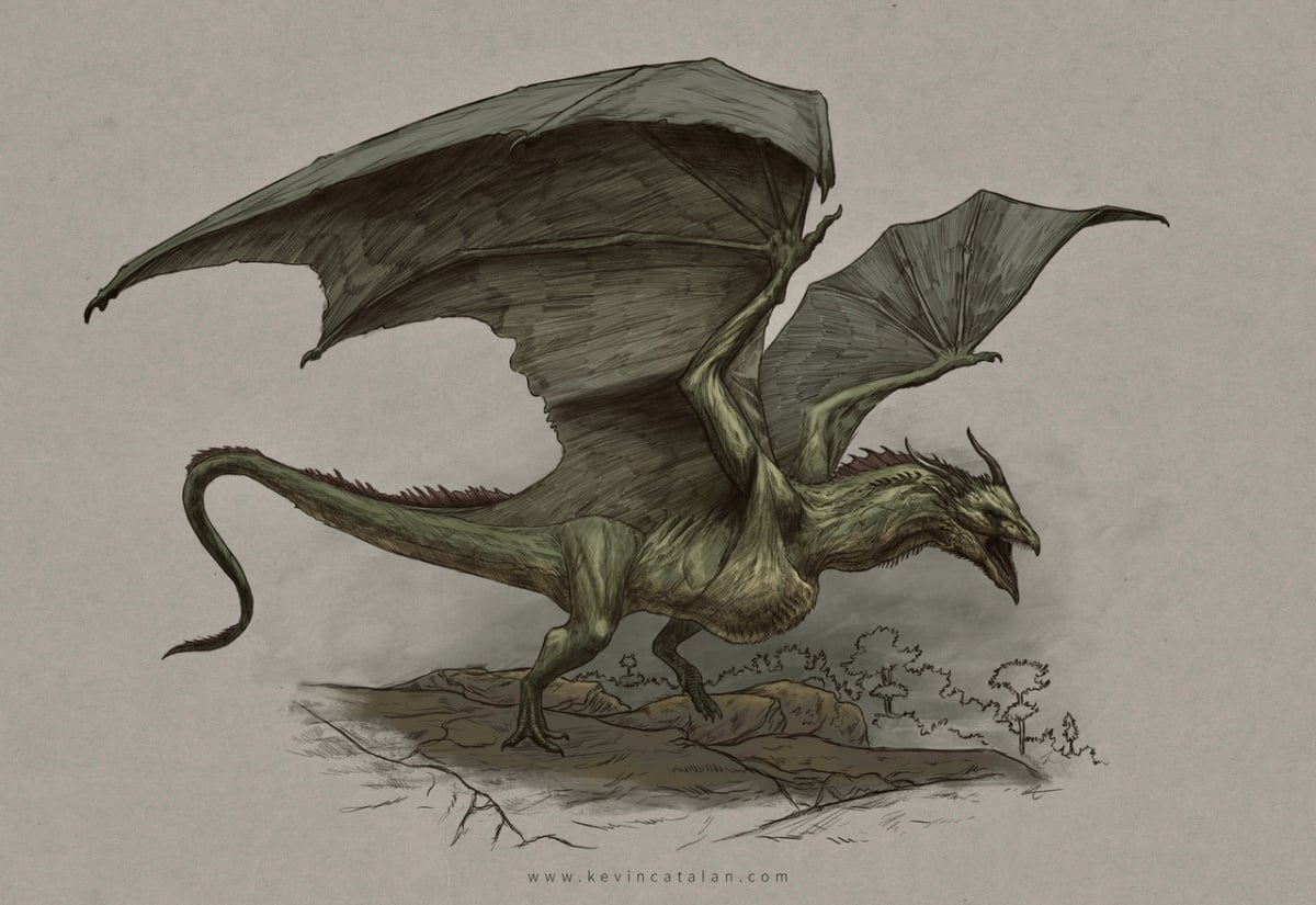 Picture of an Wyvern.