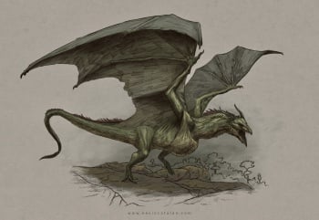 Wyvern A Wiki Of Ice And Fire