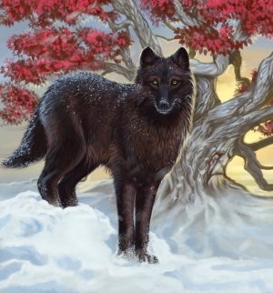 Shaggydog - A Wiki of Ice and Fire